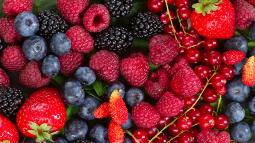 A Delicious Way to Boost Your Health: 5 The Most Healthiest Berries