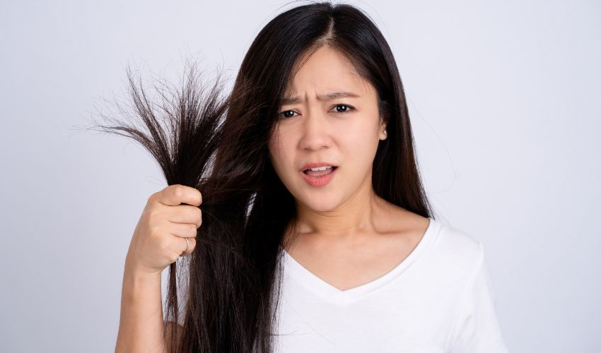 Dryness Hair: Causes, Treatments, and Prevention - EdRanks.com ...