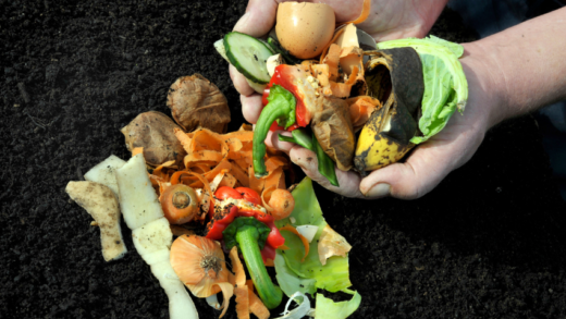 Help the Environment by Composting of Food Waste