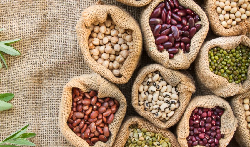 Legumes and Beans Rich in Soluble Fiber
