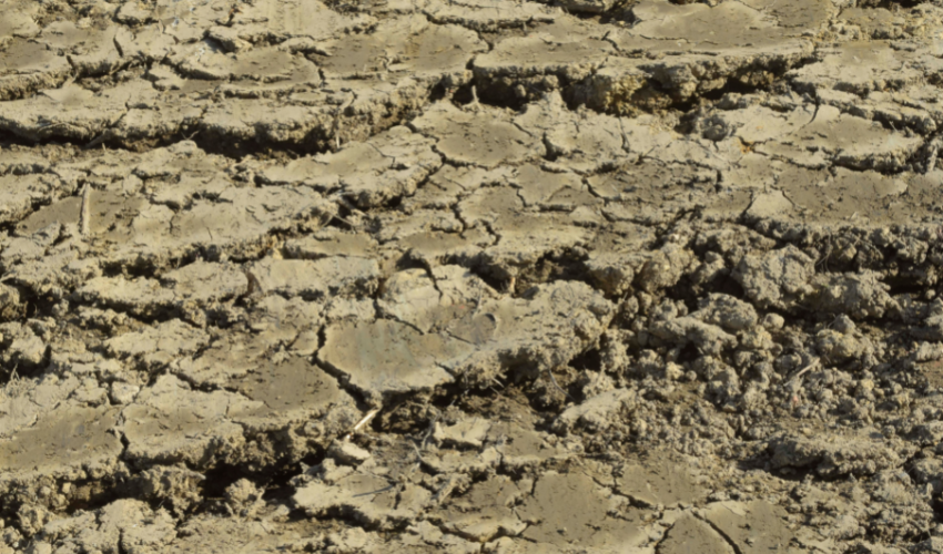 Soil Degradation and its Impact