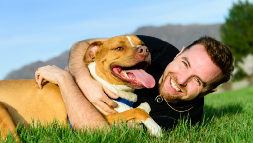 The Loyal Dogs: Man's Best Friend