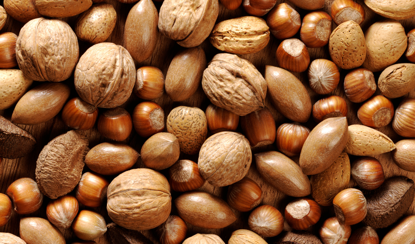 Tree Nut Allergy