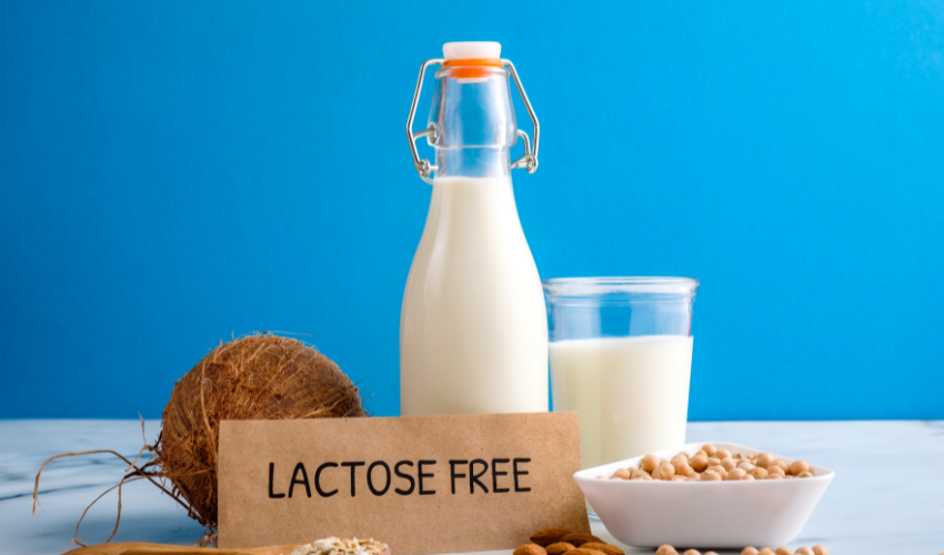 Lactose free diet