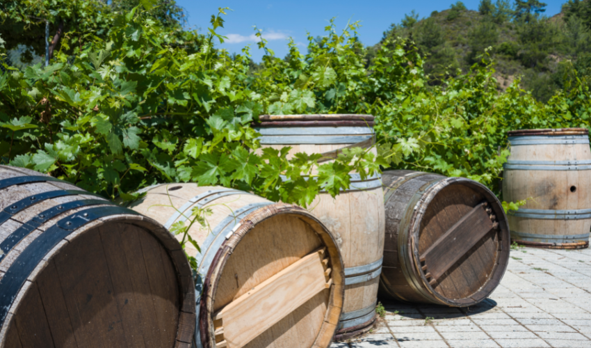 Aging is an important step in the wine making process