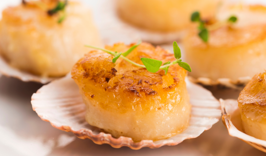 Are scallops healthy to eat?