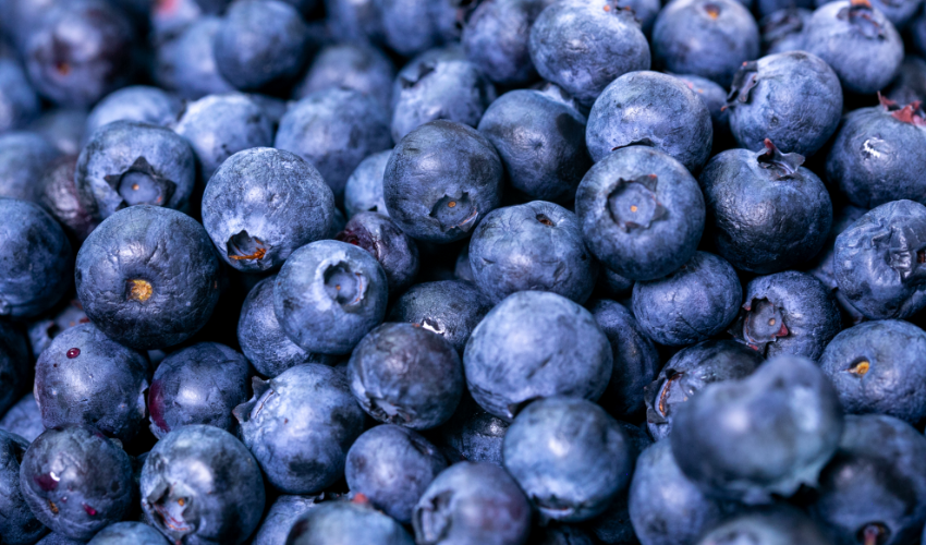 Blueberries