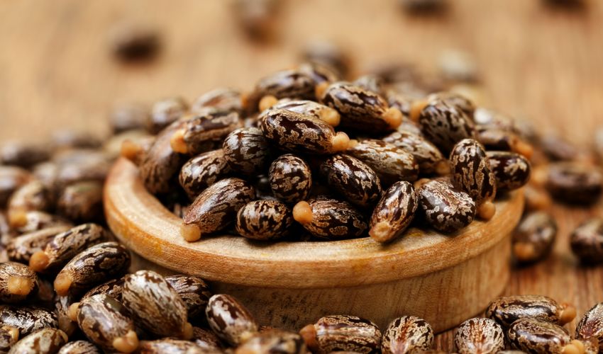 Can Castor Oil Help with Arthritis Pain