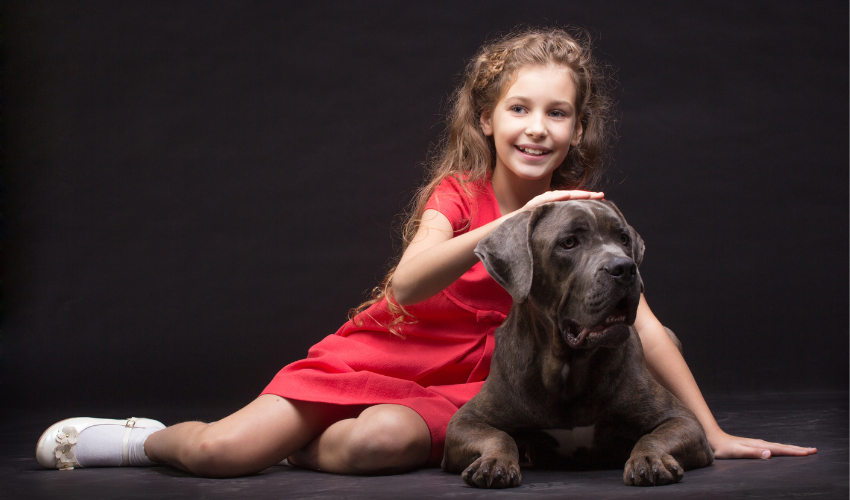 Caring for your Cane Corso
