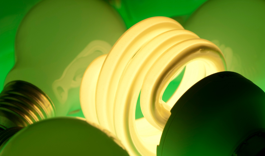Choosing the Right Energy Efficient Bulbs