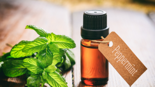 Discover the Magic of Peppermint Oil