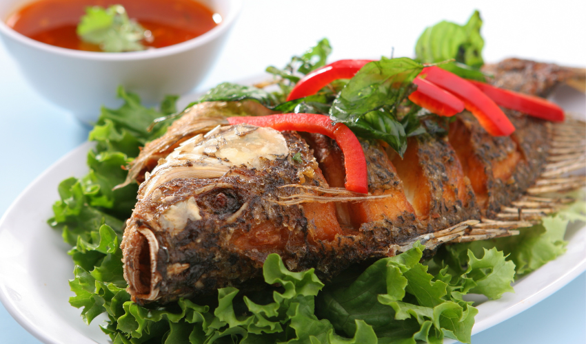 Health Benefits of Tilapia Fish