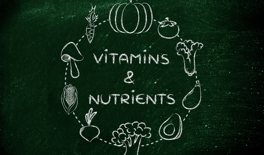 Nutrient Dense Vegetables in Your Diet