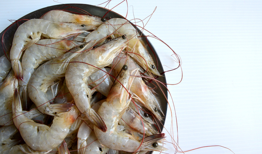 Shrimp and prawns have several physical differences that can help you tell them apart