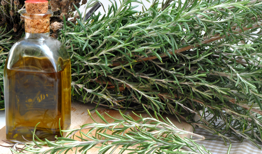 The Benefits of Olive Oil