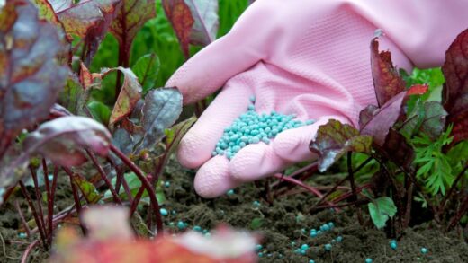 Understanding Fertilizers: A Comprehensive Guide to Boost Your Plants' Growth