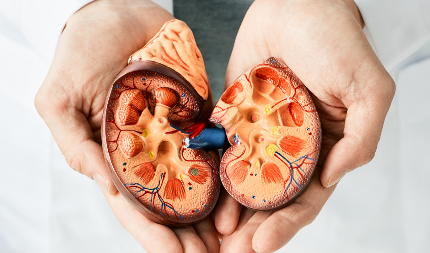 What are the First Signs of Kidney Disease