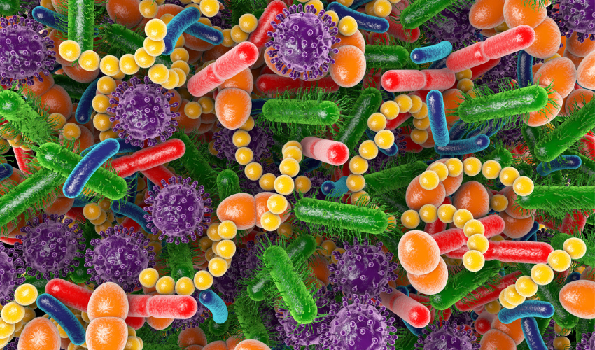 What supports a healthy gut microbiome