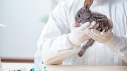Why Regular Check-Ups with Your Vet are Important for Your Pet's Health